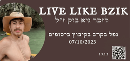 LIVE LIKE BZIK
