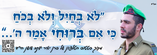 לא בחיל ולא בכח כי אם ברוחי אמר ה׳