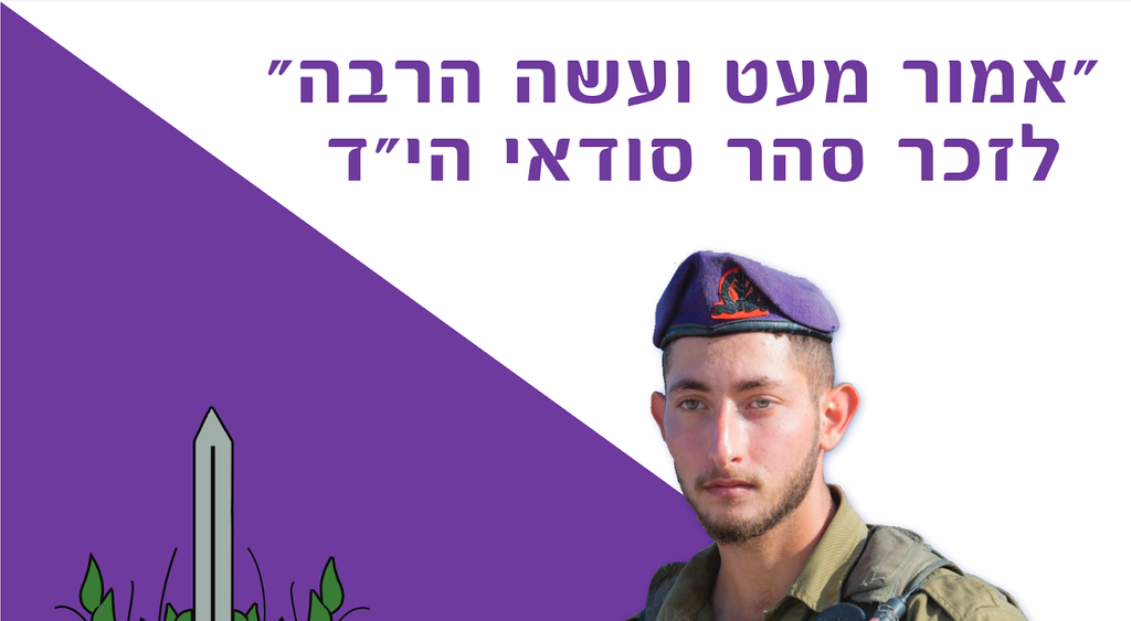 אמור מעט ועשה הרבה